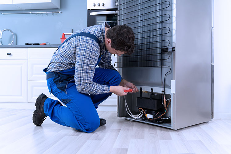 Same Day Appliance Repair Services Same Day Appliance Repair Services